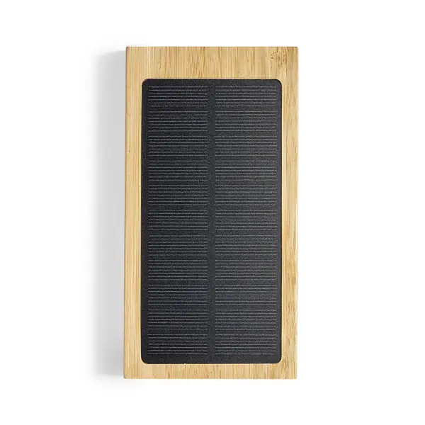 Power bank Diuk