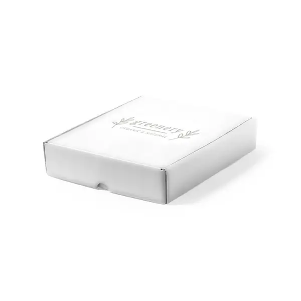 Caja presentación Wingard
