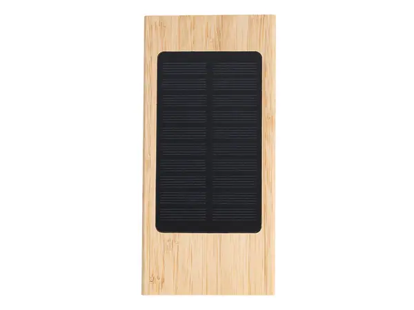 Power bank Molden
