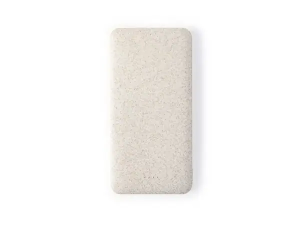 Power bank Golblum