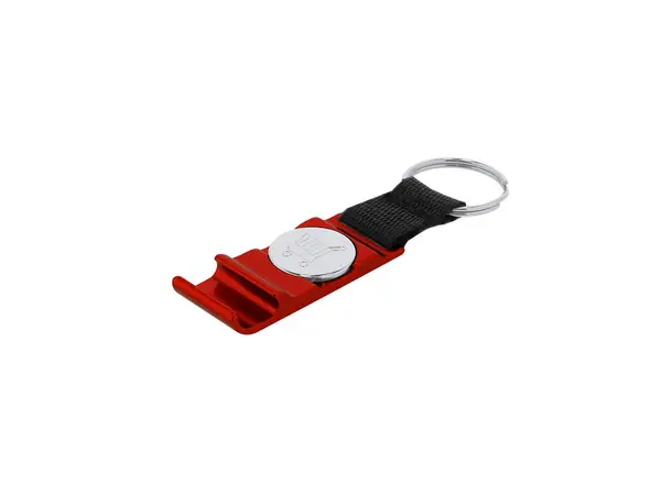 Llavero moneda Nevin